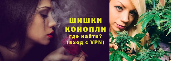 крисы Горняк
