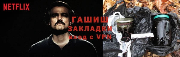 молекула духа Вязьма