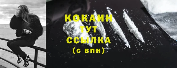 шишки Вязники