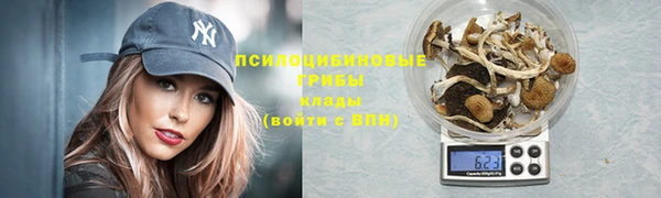 шишки Вязники