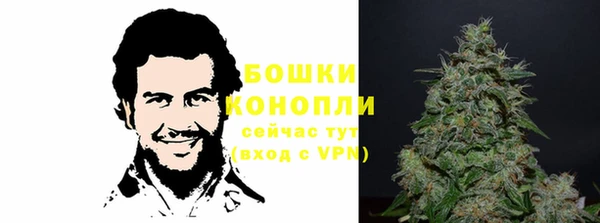 шишки Вязники