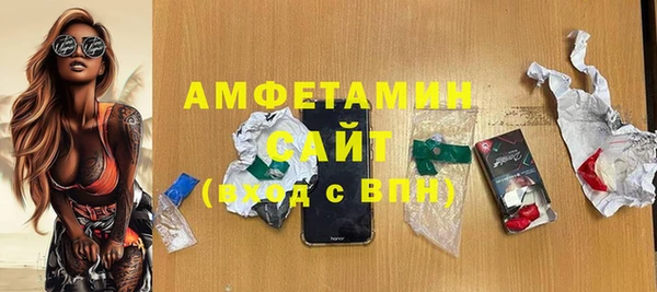 гидра Горнозаводск