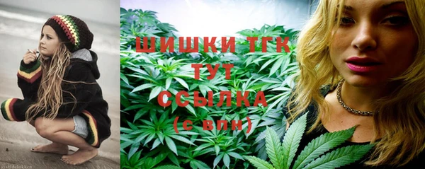 молекула духа Вязьма