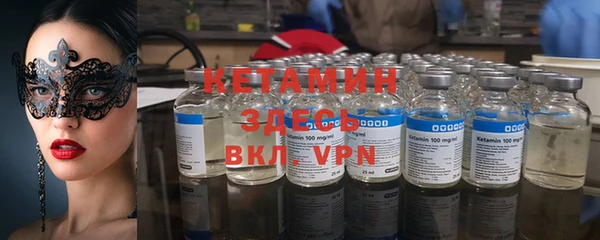 шишки Вязники