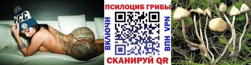 Галлюциногенные грибы Psilocybe  купить закладку  Заполярный 